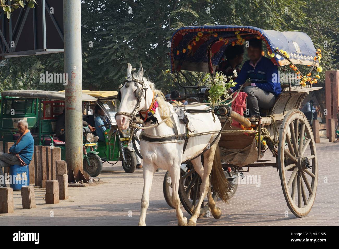 Eine private Straße, die zum Taj Mahal führt (Indien, Agra) Stockfoto