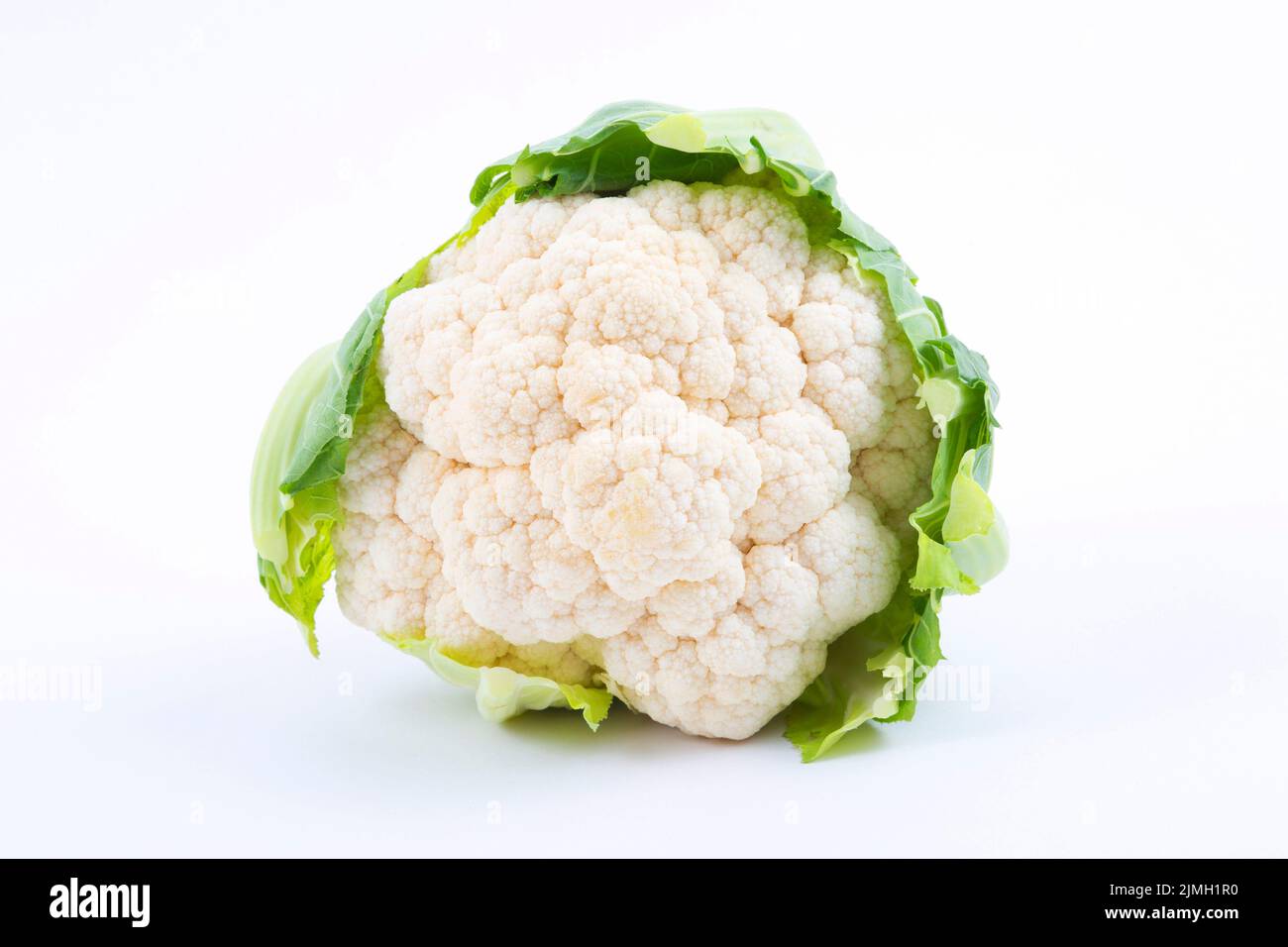 Blumenkohl auf weißem Hintergrund Stockfoto