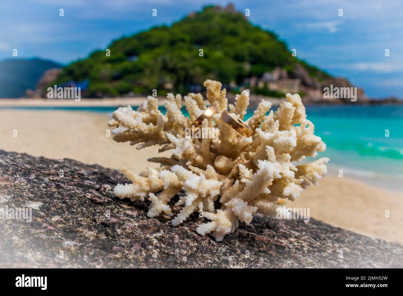 Eheringe auf Korallen am Strand. Flitterwochen in Thailand. Stockfoto