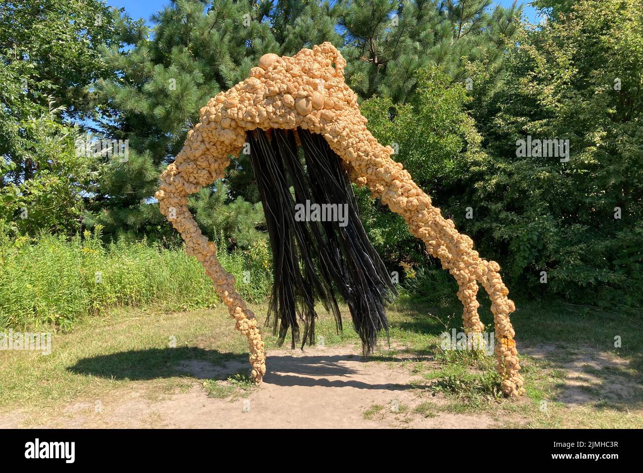 FRANKEN, MN, USA - 5. AUGUST 2022: Ein Pink Eyed Grazer im Franconia Sculpture Park. Stockfoto