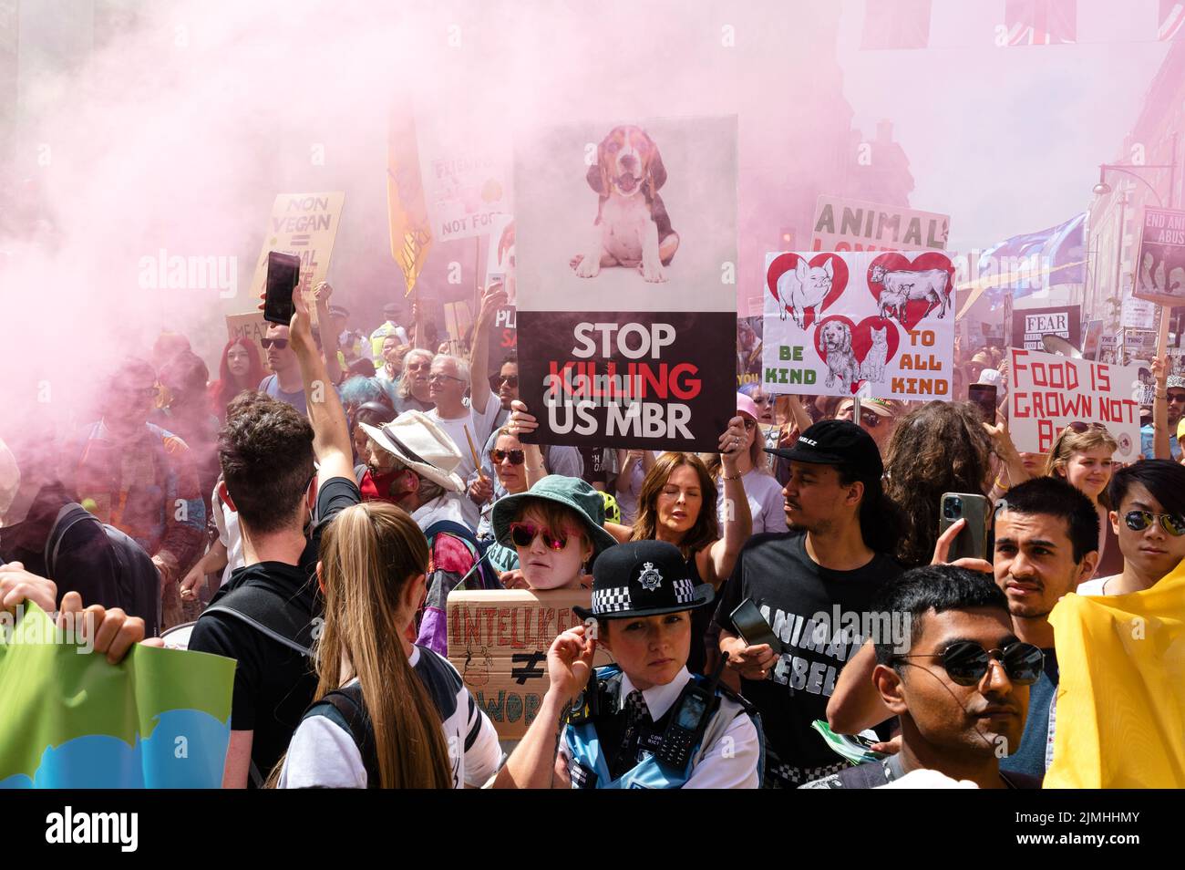 London, Großbritannien. 6. August 2022. Tierrechtsaktivisten marschieren in London zum Nationalen Tierrechtsmarsch, um Gerechtigkeit für Tiere und ein Ende der Tierausbeutung zu fordern. Der marsch war eine Zusammenarbeit vieler aktivistischer Gruppen wie Animal Rebellion, Animal Freedom Movement, North London Hunt Sabs, Animal Justice Project und Animal Save UK. Quelle: Andrea Domeniconi/Alamy Live News Stockfoto