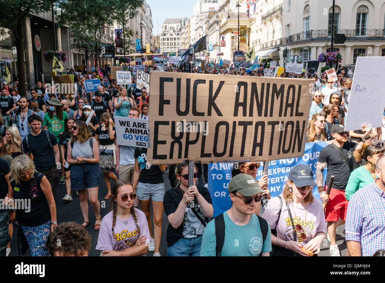 London, Großbritannien. 6. August 2022. Tierrechtsaktivisten marschieren in London zum Nationalen Tierrechtsmarsch, um Gerechtigkeit für Tiere und ein Ende der Tierausbeutung zu fordern. Der marsch war eine Zusammenarbeit vieler aktivistischer Gruppen wie Animal Rebellion, Animal Freedom Movement, North London Hunt Sabs, Animal Justice Project und Animal Save UK. Quelle: Andrea Domeniconi/Alamy Live News Stockfoto