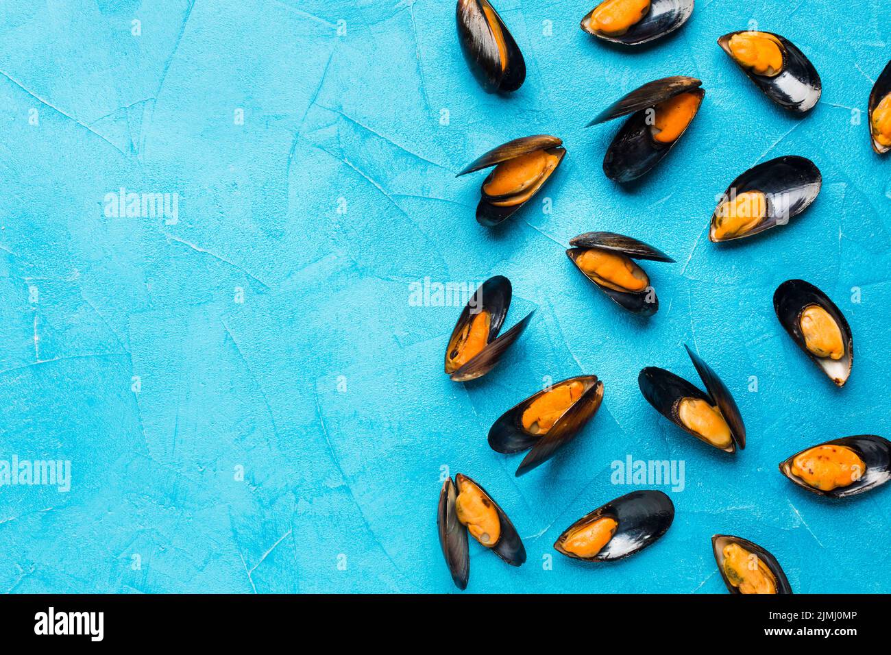 Essbare und leckere muscheln Fotos und Bildmaterial in hoher Auflösung Alamy