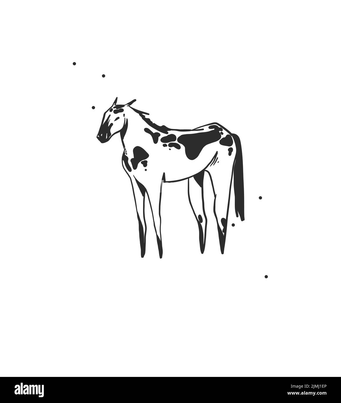 Handgezeichnete abstrakte Vektor Grafik Clipart Illustration boho Pferd Logo Element isoliert.Western Design concept.Bohemian wilden Westen zeitgenössische Kunst Stock Vektor