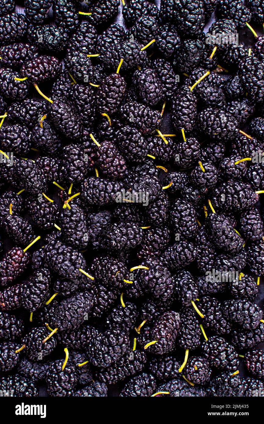 Draufsicht Sortiment Maulbeeren Stockfoto