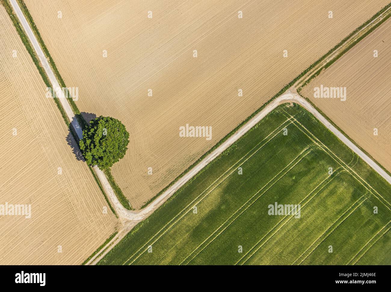 Luftbild des Feldes mit einem Baum und Straßen Stockfoto