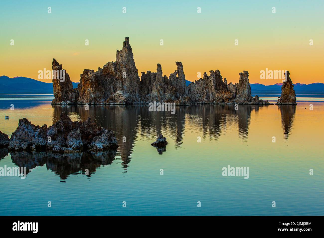 Magische bizarre Formen Stockfoto