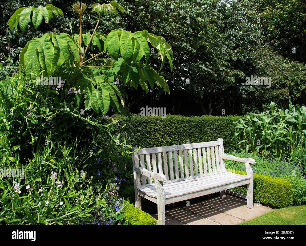 Gedenkbank, die John Neave in Brightwater Gardens gewidmet ist Stockfoto