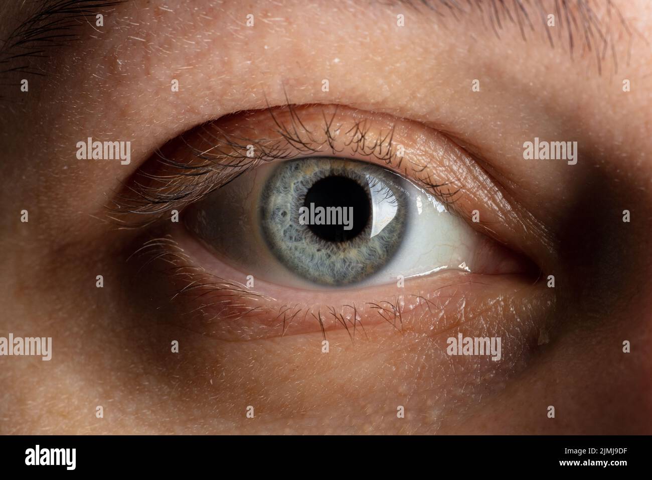 Blaues menschliches Auge aus nächster Nähe Stockfoto