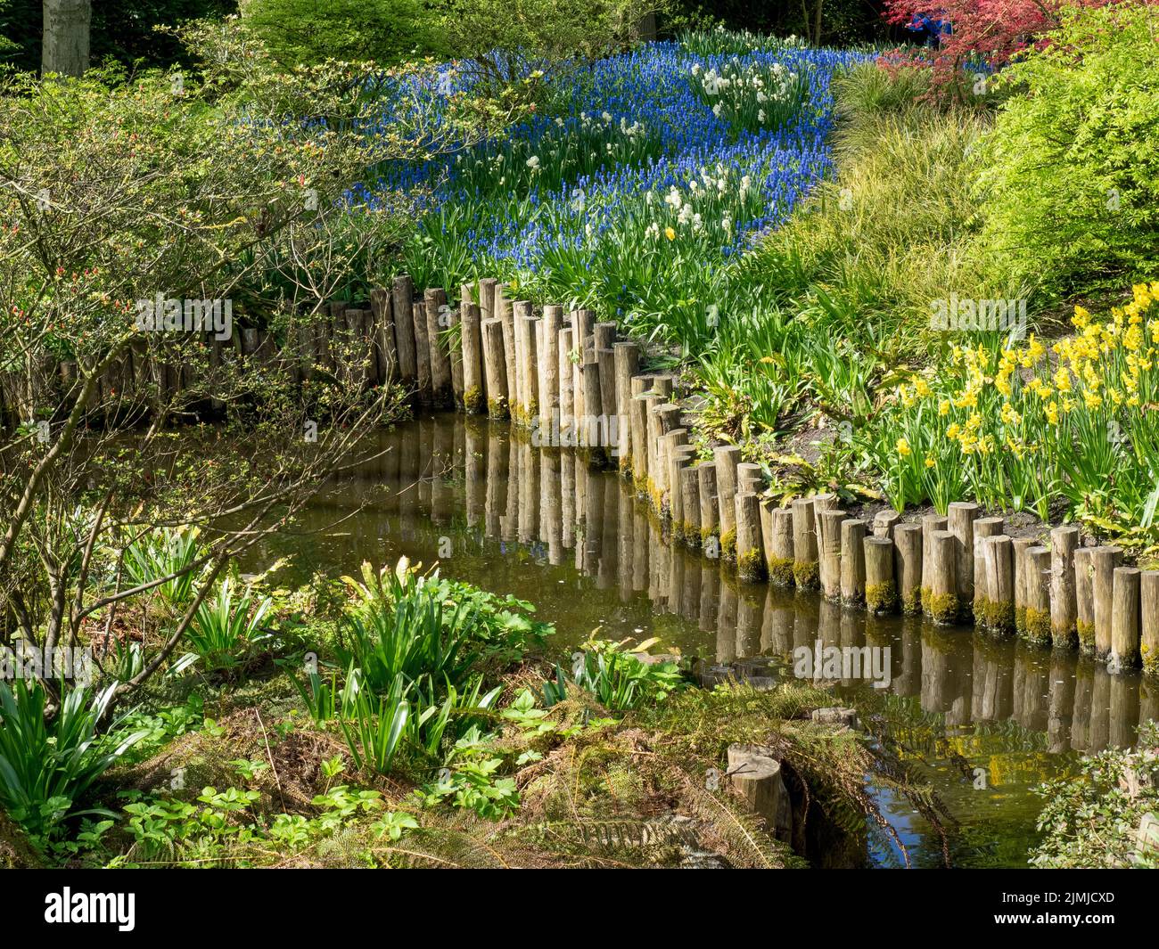 Kleine blutungen Fotos und Bildmaterial in hoher Auflösung Alamy