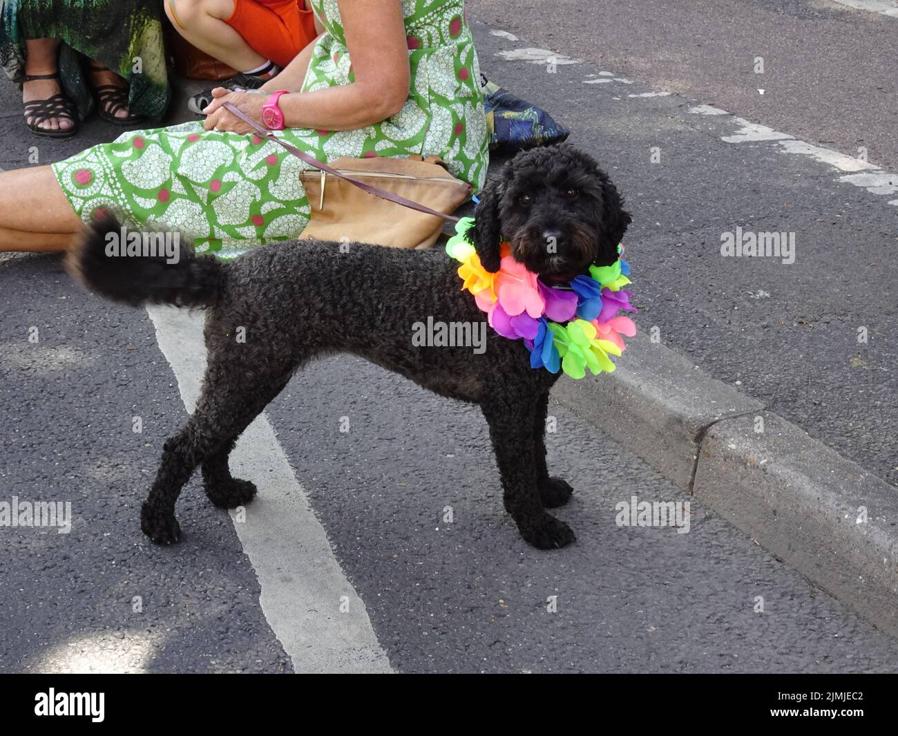 Brighton, West Sussex, Großbritannien. 6. August 2022. Szenen von der Parade zum Preston Park während des Brighton Pride 2022-Events Credit: Motofoto/Alamy Live News Stockfoto