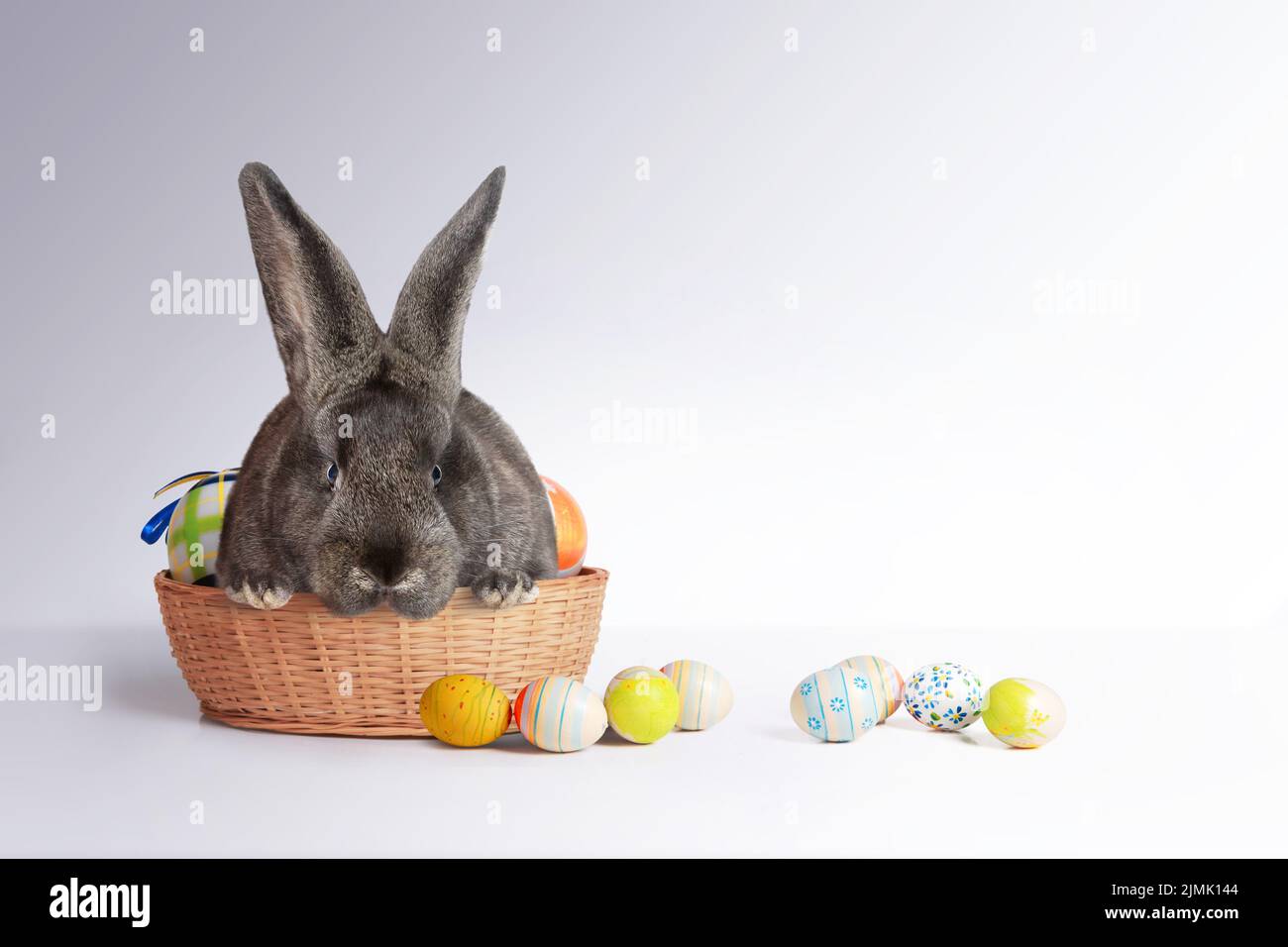 Lustiger Osterhase. Frohe Osterfeiertage. Stockfoto