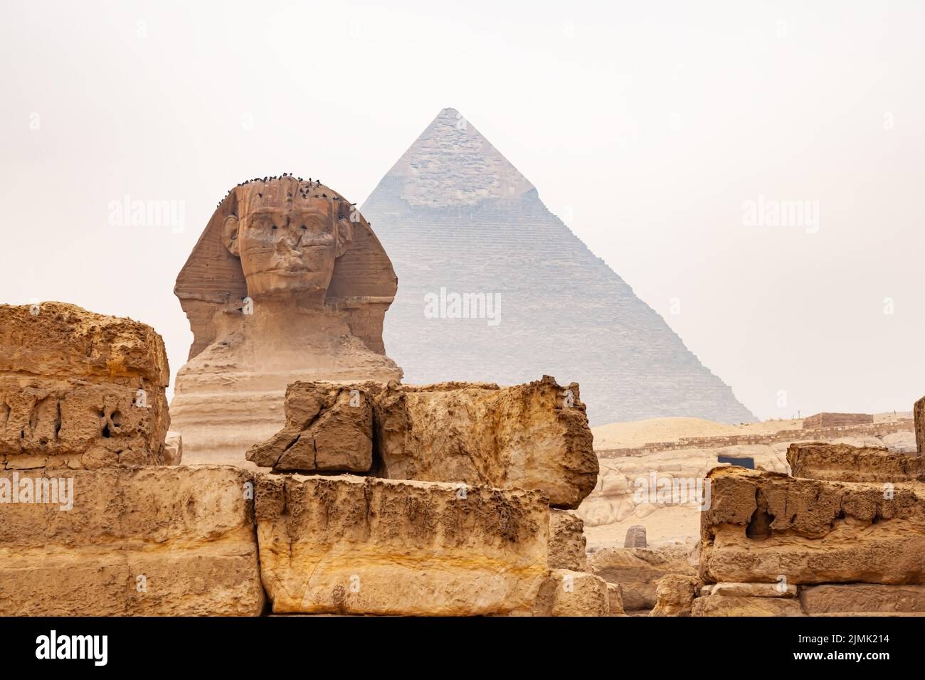 Blick auf die Statue der Großen Sphinx von Gizeh im Gizeh Plateau und die große Pyramide von Gizeh im Hintergrund. Stockfoto