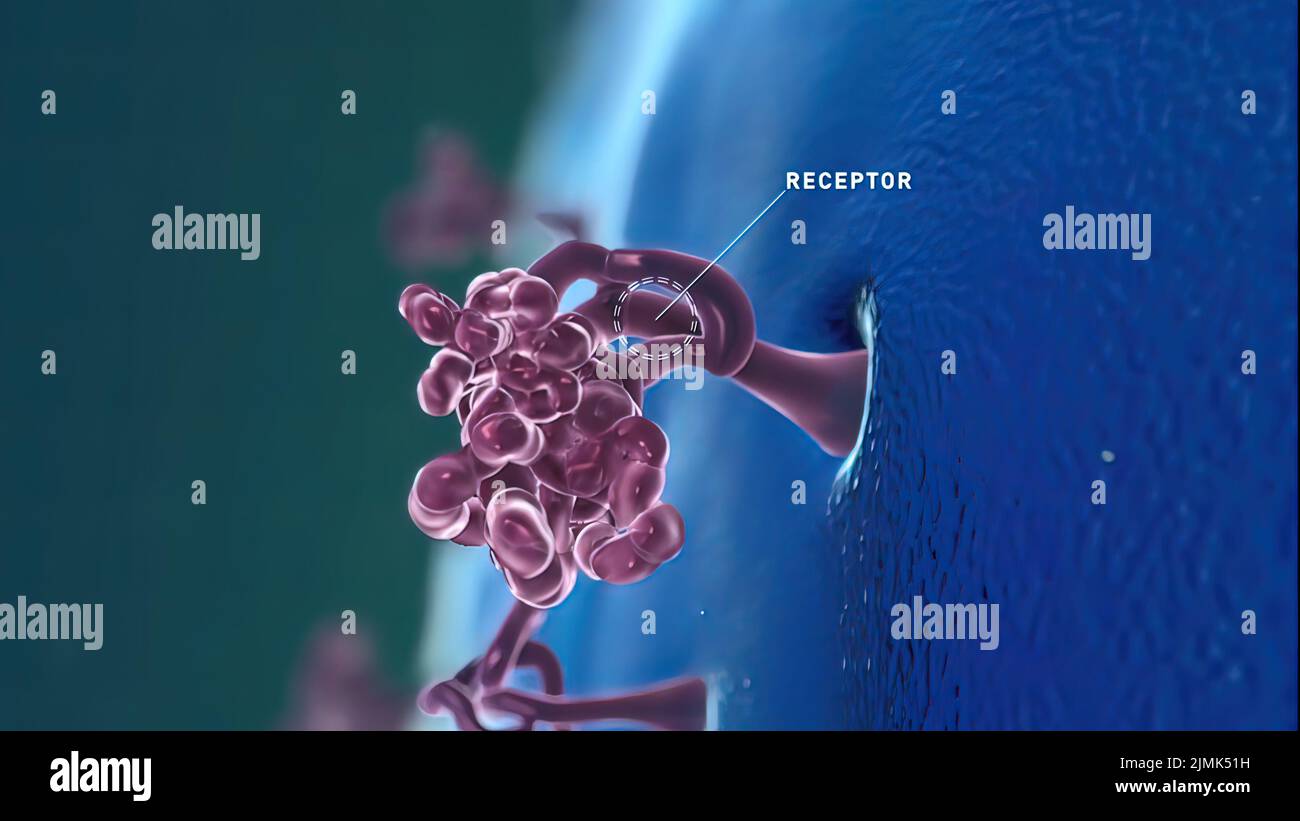 Cytokin - Aminosäure, die Zellen miteinander kommunizieren lässt Stockfoto