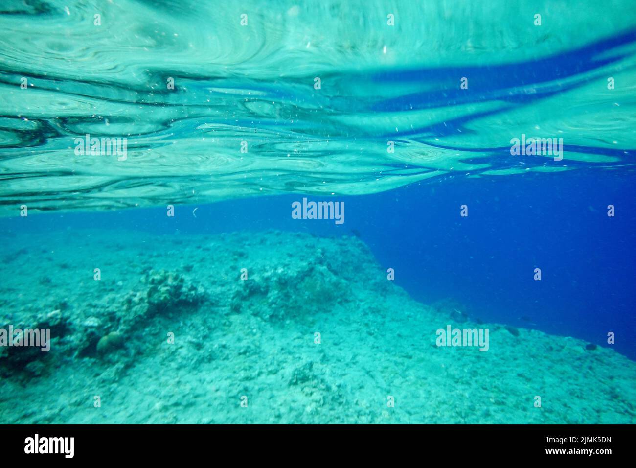 Unterwasser-Hintergrund Stockfoto