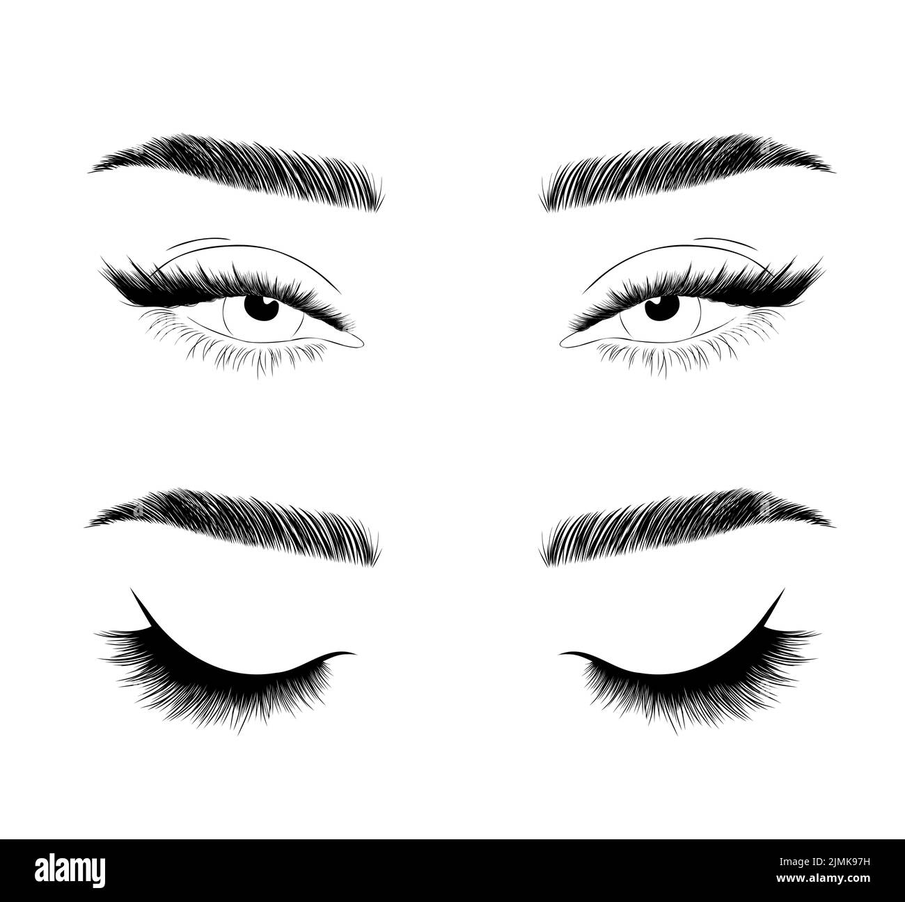Set von realistischen Frauen Augen. Weibliche Wimpern und Augenbrauen. Laminierung und Verlängerung Wimpern. Logo von Beauty Studio. Linearer Vektor Illustration in trendy Stock Vektor