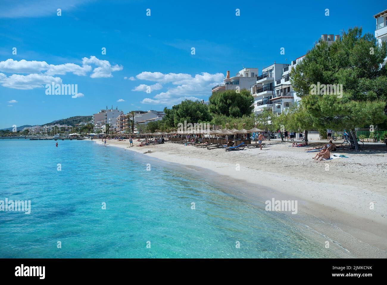 Port Pollenca, Pine Walk, Mallorca, Balearen, Spanien Stockfoto
