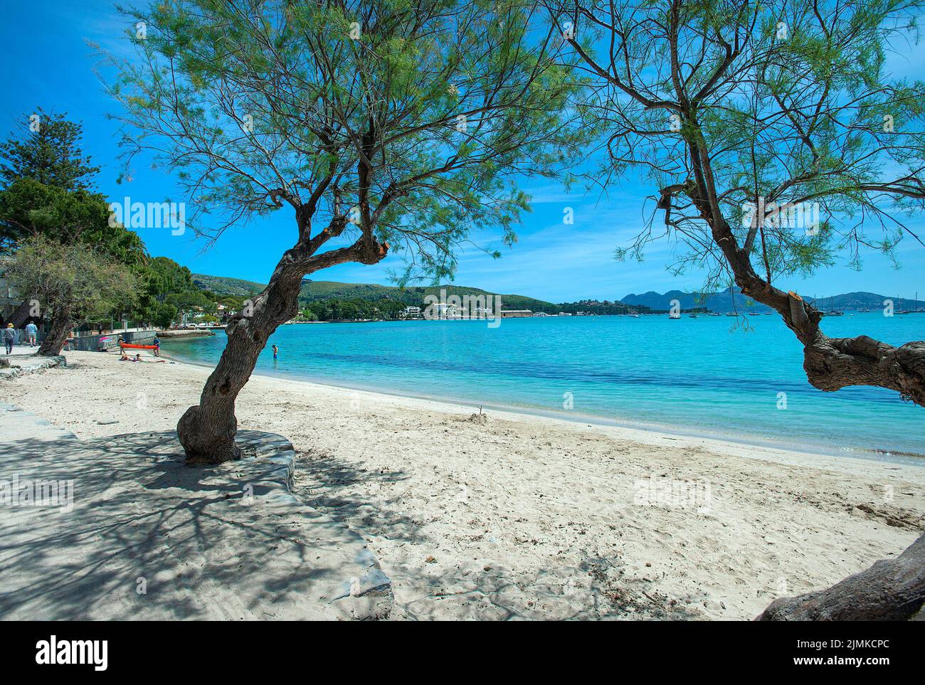 Port Pollenca, Pine Walk, Mallorca, Balearen, Spanien Stockfoto