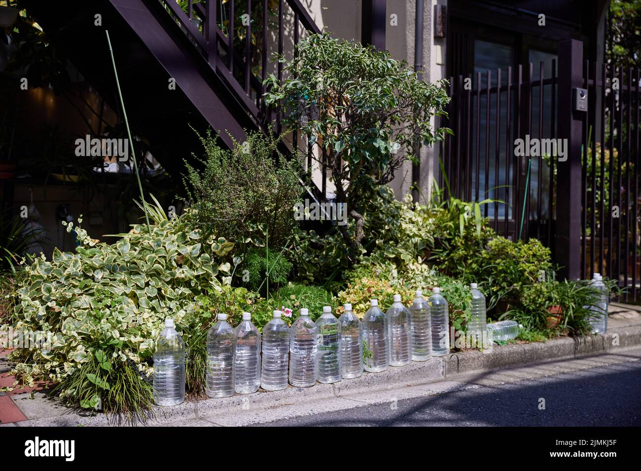 Nekoyoke, mit Wasser gefüllte PET-Flaschen, die Katzen fernhalten sollen; Tokio, Japan Stockfoto