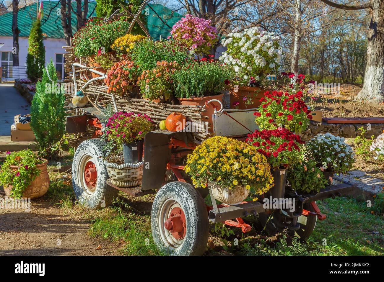 Blumenbeet, Adygea, Russland Stockfoto