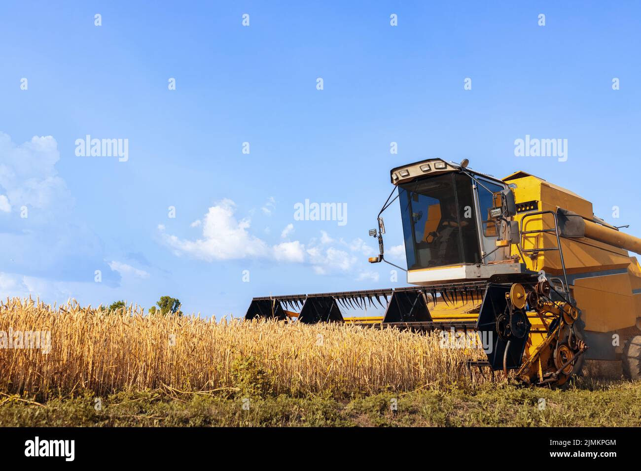 Kombinieren Sie Harvester Schneiden reifen Weizen auf dem Feld Stockfoto