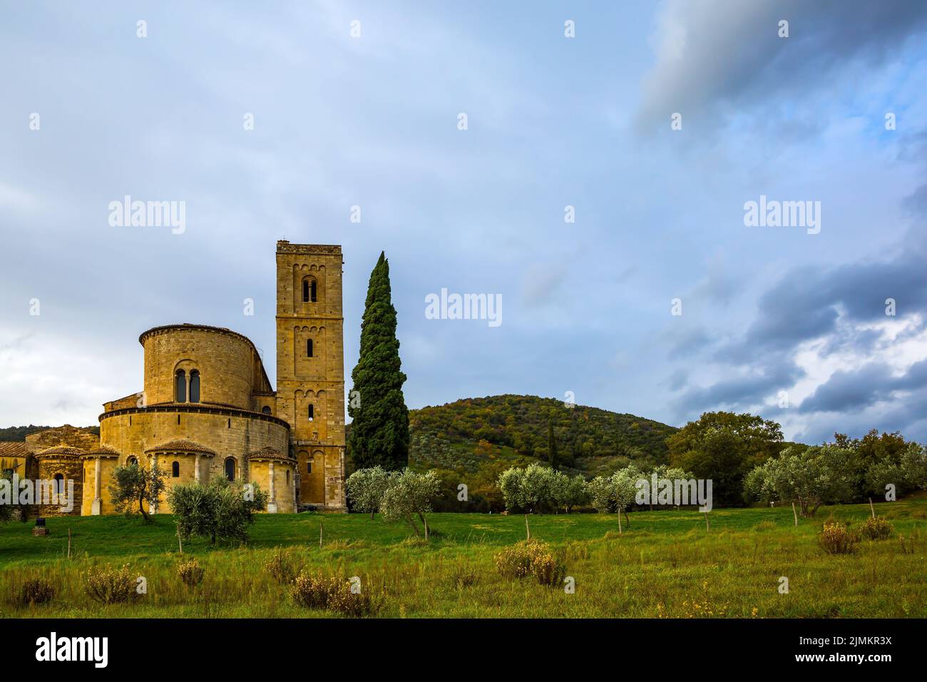 Die Wiese rund um die Abtei Stockfoto