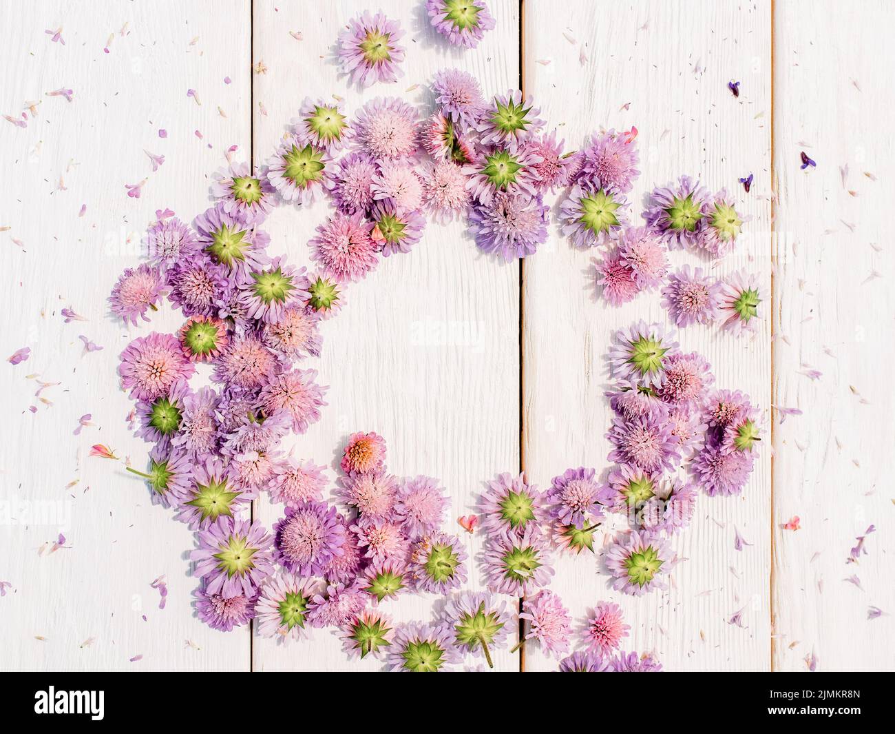 Blumenkranz lila Mütter Zusammensetzung Blütenknospen Stockfoto