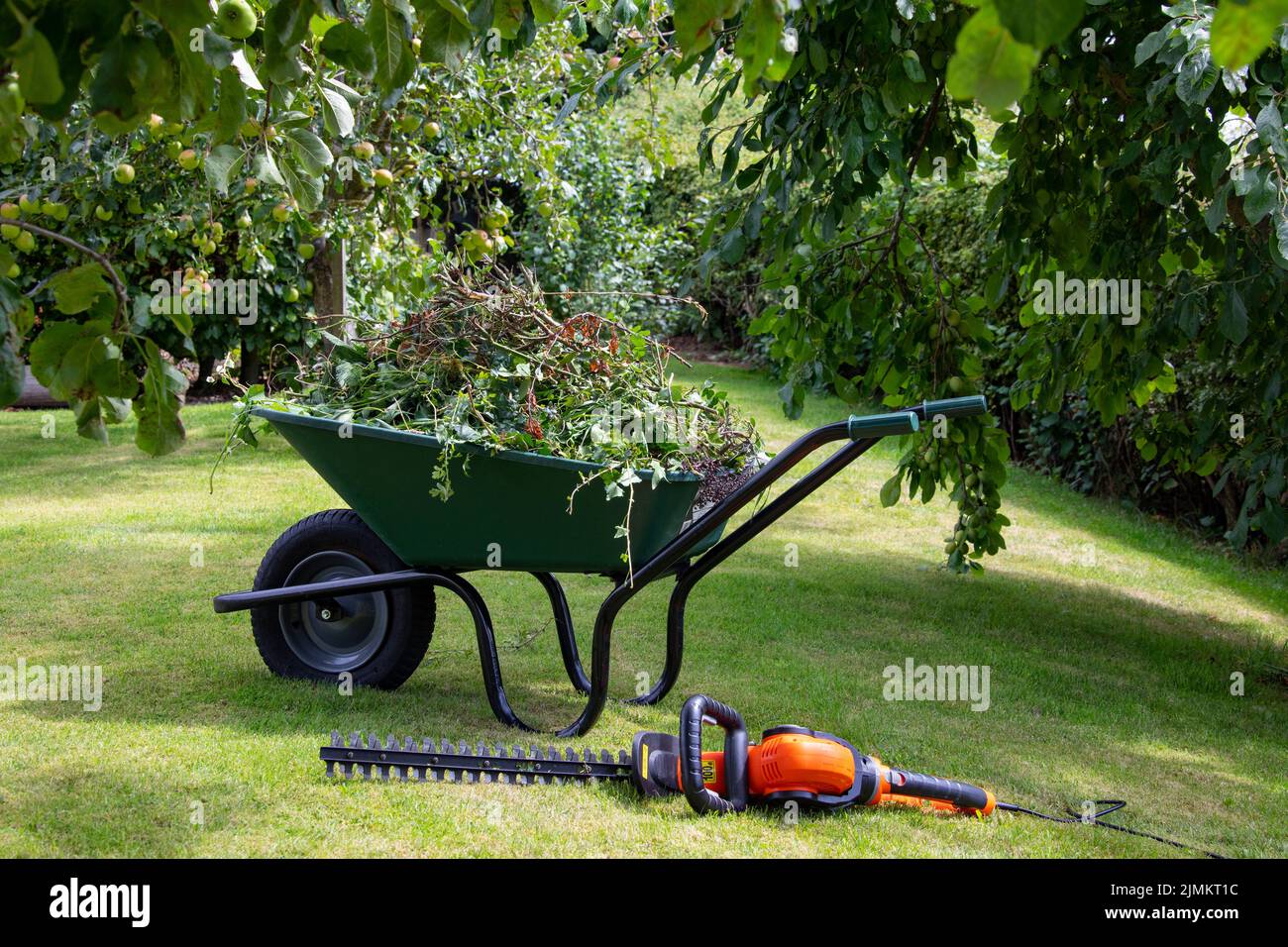 Gartenarbeit - Schubkarre voller Heckenschnitt neben einer elektrischen Heckenschere. Stockfoto
