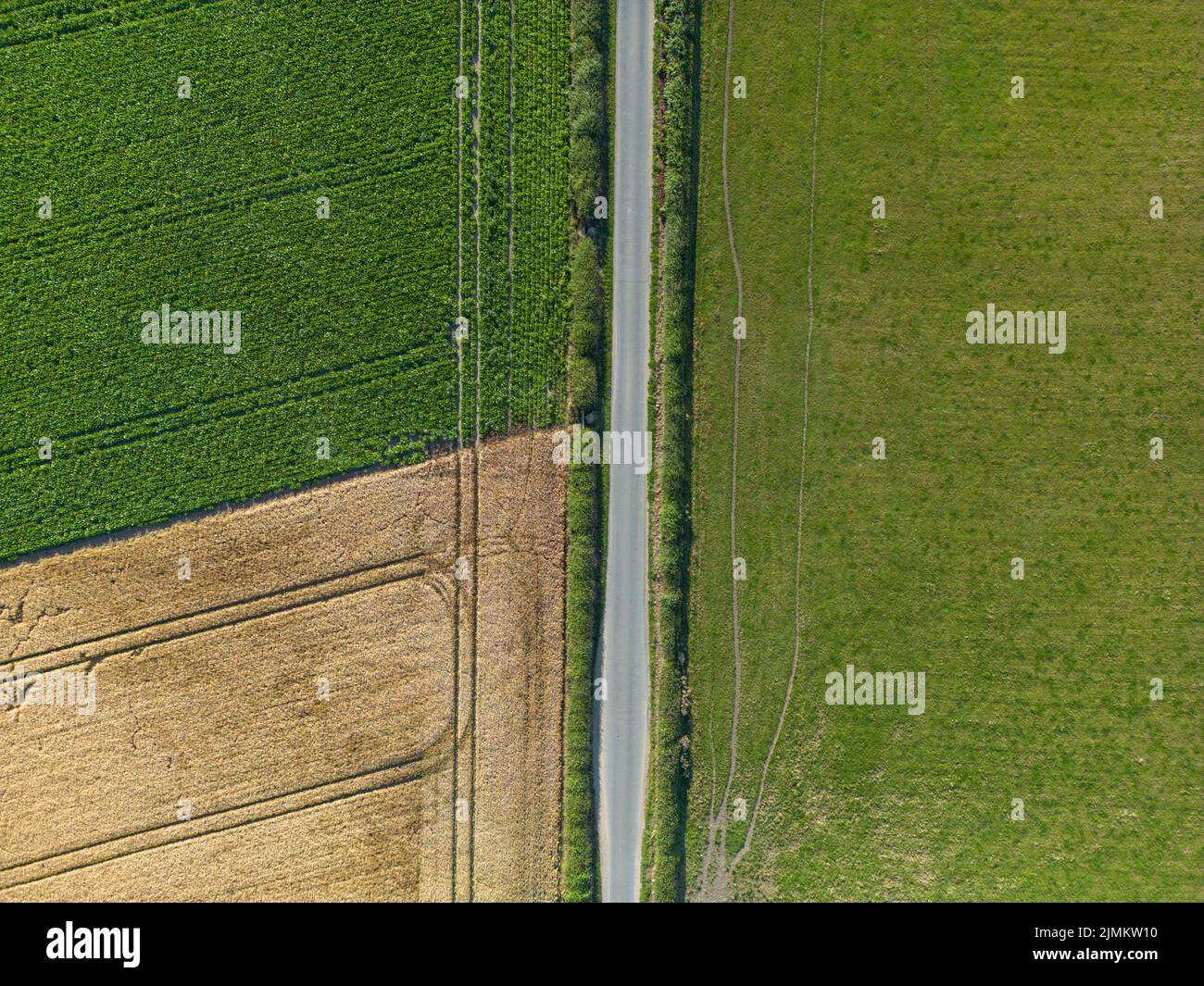 Luftaufnahme von landwirtschaftlichen Mischnutzungen in der Landschaft von West Yorkshire in Ecup, nahe Leeds. Die Landwirtschaft des Landes für Nutzpflanzen und Vieh ist typisch für das Gebiet. Stockfoto