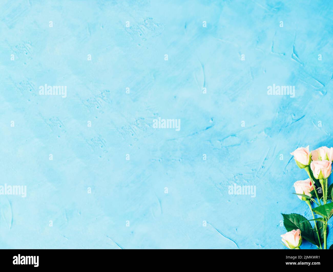 Blumenhintergrund weiß blühende Rosen Bouquet Stockfoto