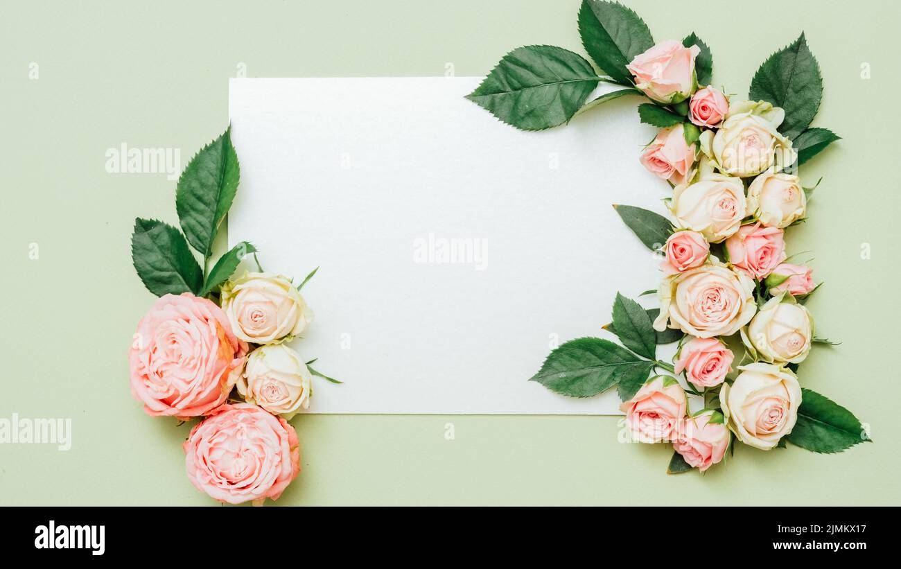 Weiß blank Papier Rosen dekorative Komposition Stockfoto