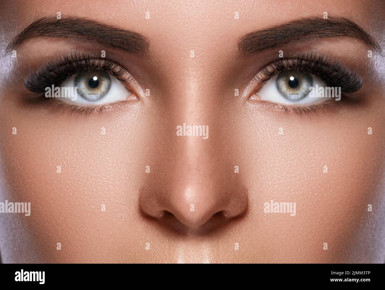 Weibliches Gesicht mit schönen Augenbrauen und künstlichen Wimpern Stockfoto