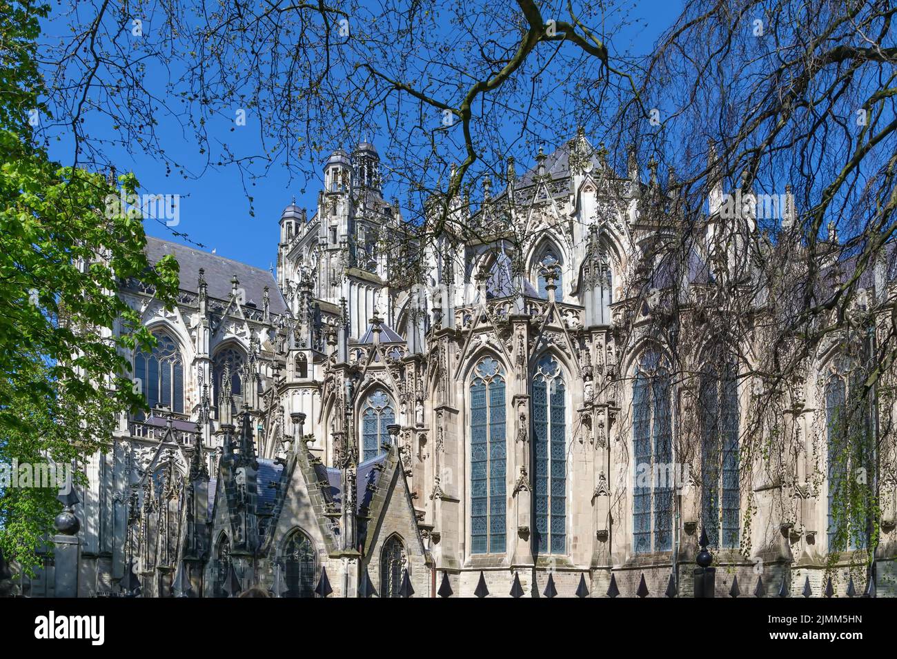 St. John's Cathedral, s-Hertogenbosch, Niederlande Stockfoto