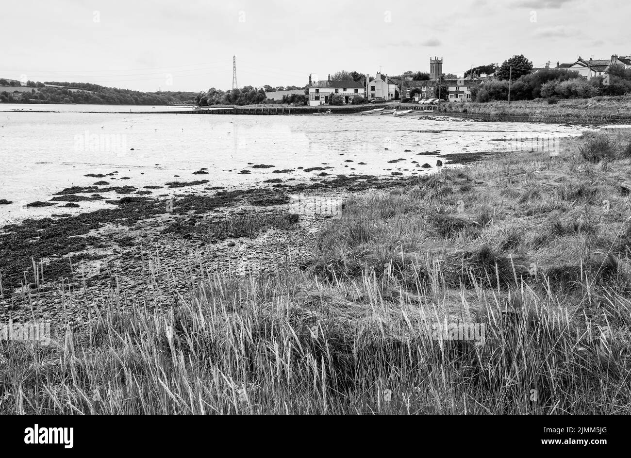 Der Kai bei Bere Ferrers über den Fluss Tavy mit forground Gräsern gesehen. Die Flut ist niedrig. Plentry des Kopierbereichs. Stockfoto