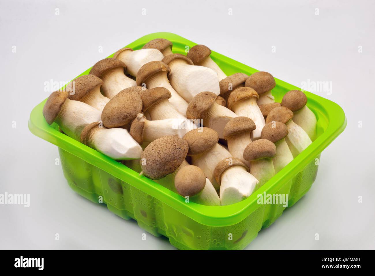 Pleurotus eryngii (auch bekannt als King Trompete Pilz, Französisch Horn, Eryngi, Auster, König braunen Pilz, Boletus, Trompete royale) aus der Nähe. Es ist ein e Stockfoto