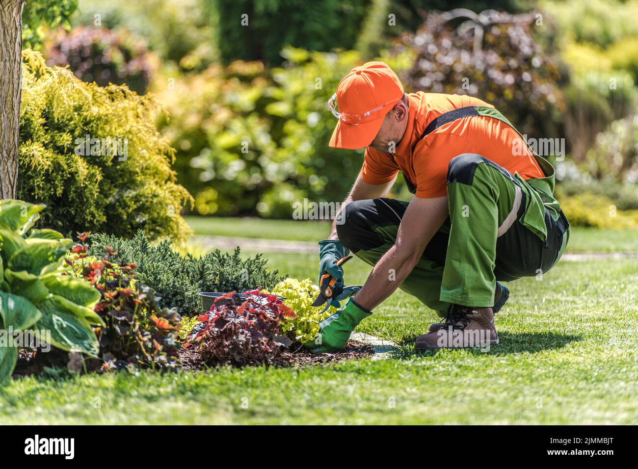 Professioneller Kaukasischer Landschaftsgärtner in grün-orange Arbeit Tragen Sie Trimmpflanzen auf dem Island Garden Bed mit seinem Gartenscheren-Werkzeug. Gard Stockfoto