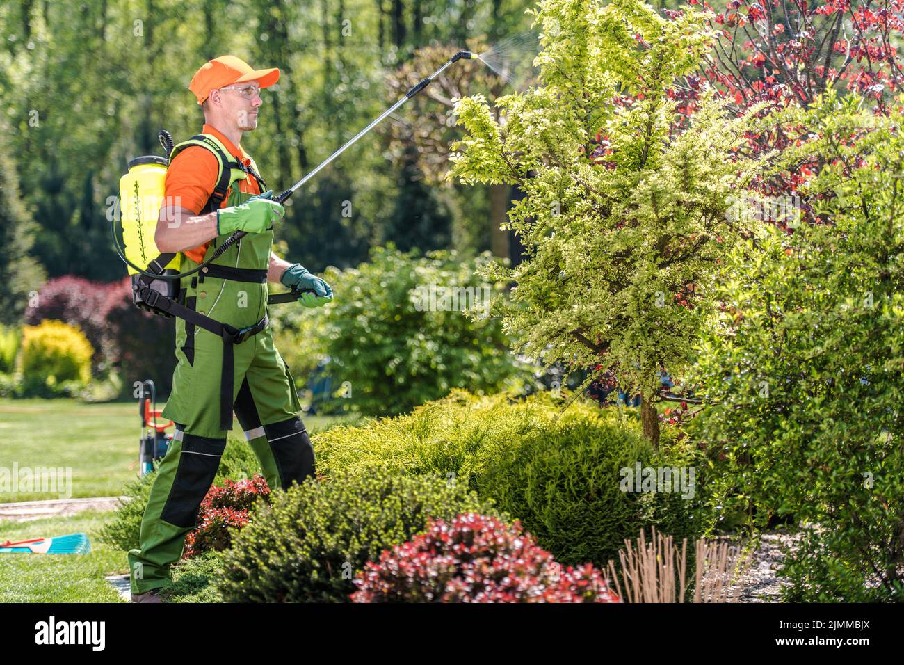 Professioneller Kaukasischer Gärtner, der während regelmäßiger saisonaler Pflege- und Wartungsarbeiten Pestizide auf Pflanzen im schönen Garten des Kunden sprüht. Stockfoto