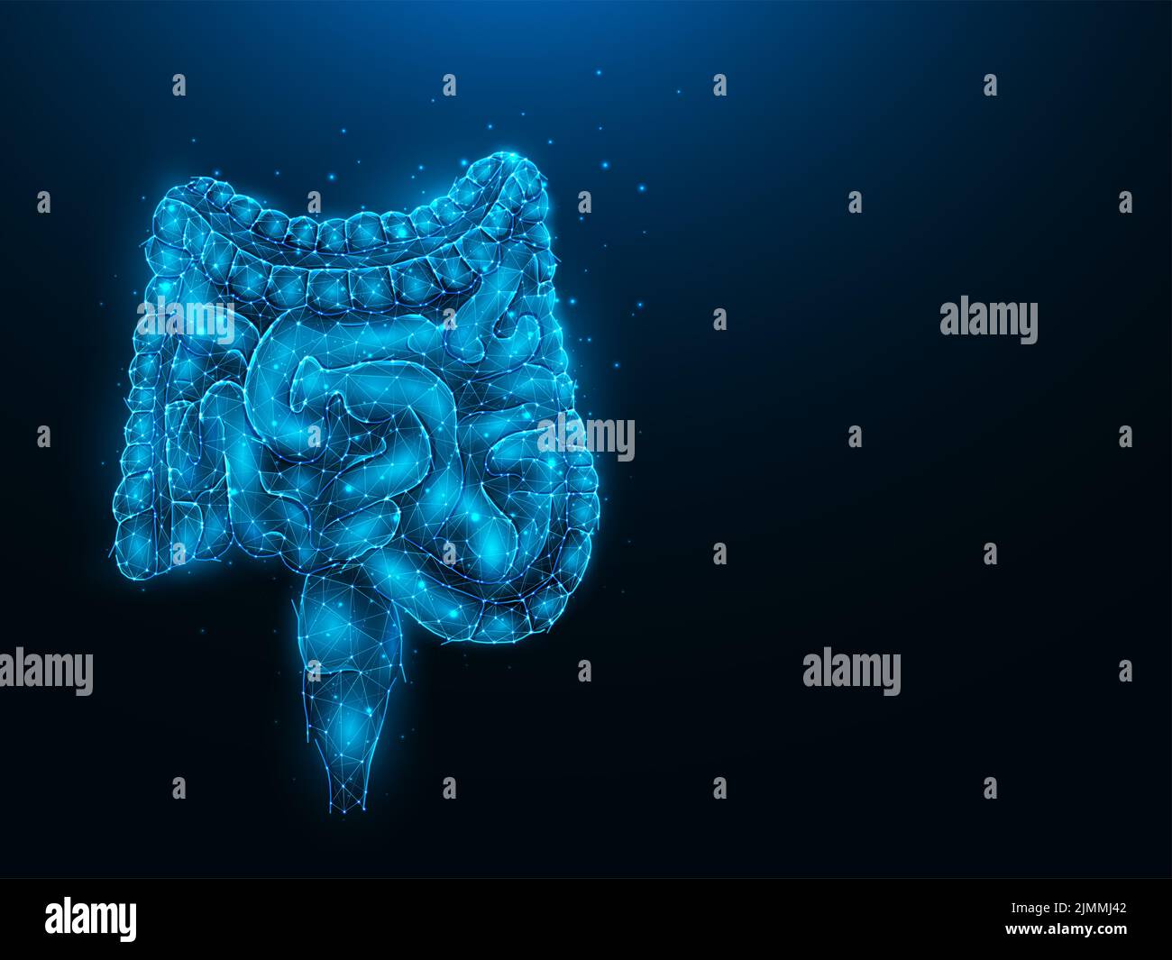 Abstraktion polygonale Vektordarstellung des Darms auf dunkelblauem Hintergrund. Verdauungssystem, internes Organ low poly Stockfoto