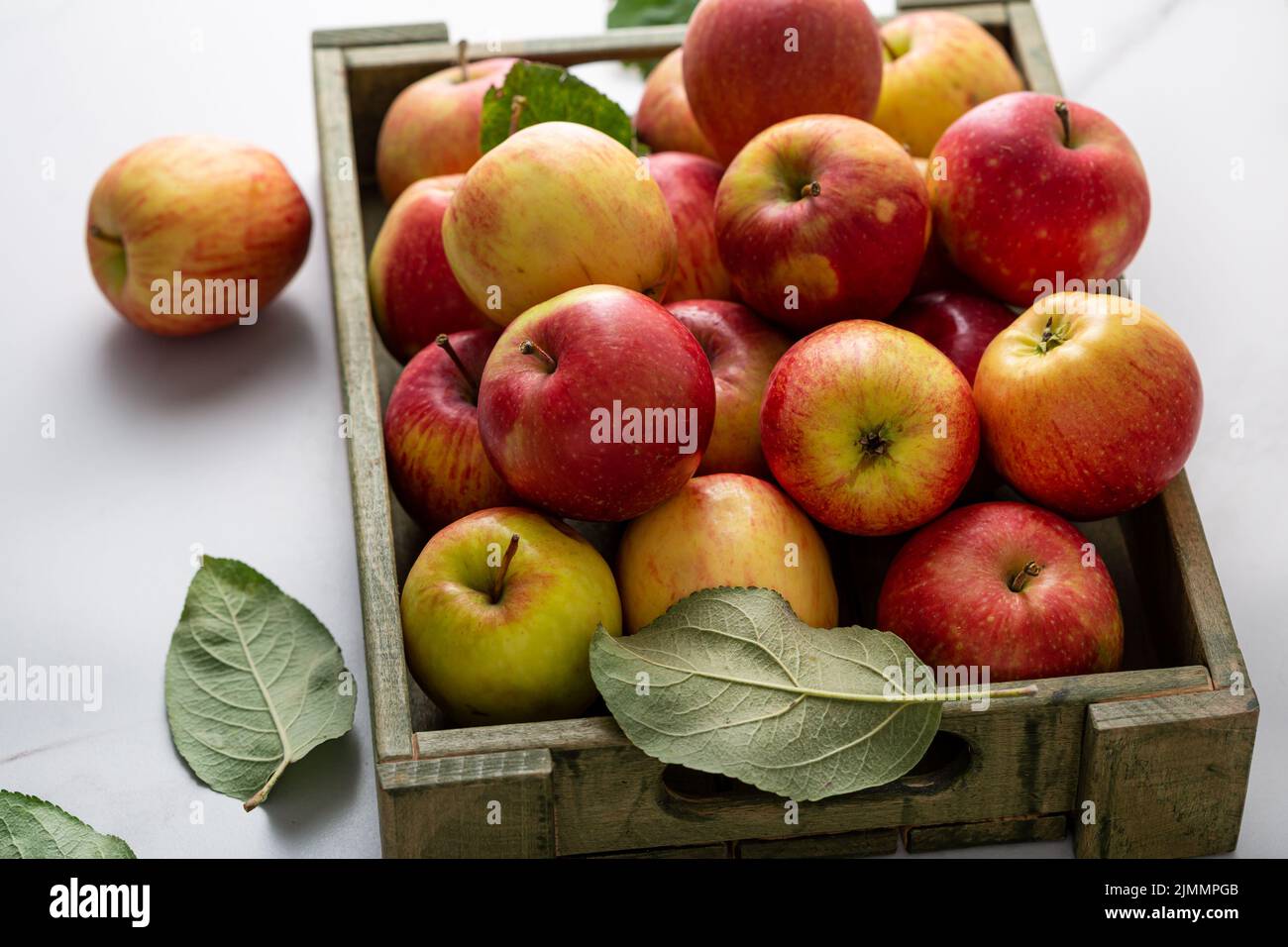 Frische Bauernäpfel in Holzkiste ernten Früchte auf hellem, selbstgezüchtetes Futter Stockfoto