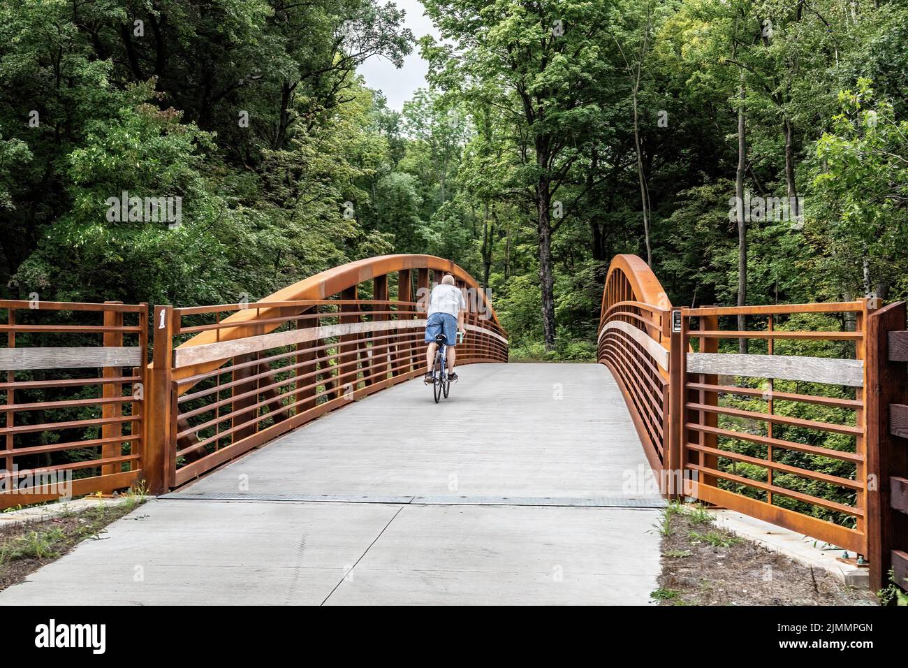 Ein Mann, der mit dem Fahrrad über die Brücke Nr. 1 auf dem Swedish Immigrant Regional Trail fährt, der von Taylors Falls nach Shafer, Minnesota, USA, führt. Stockfoto