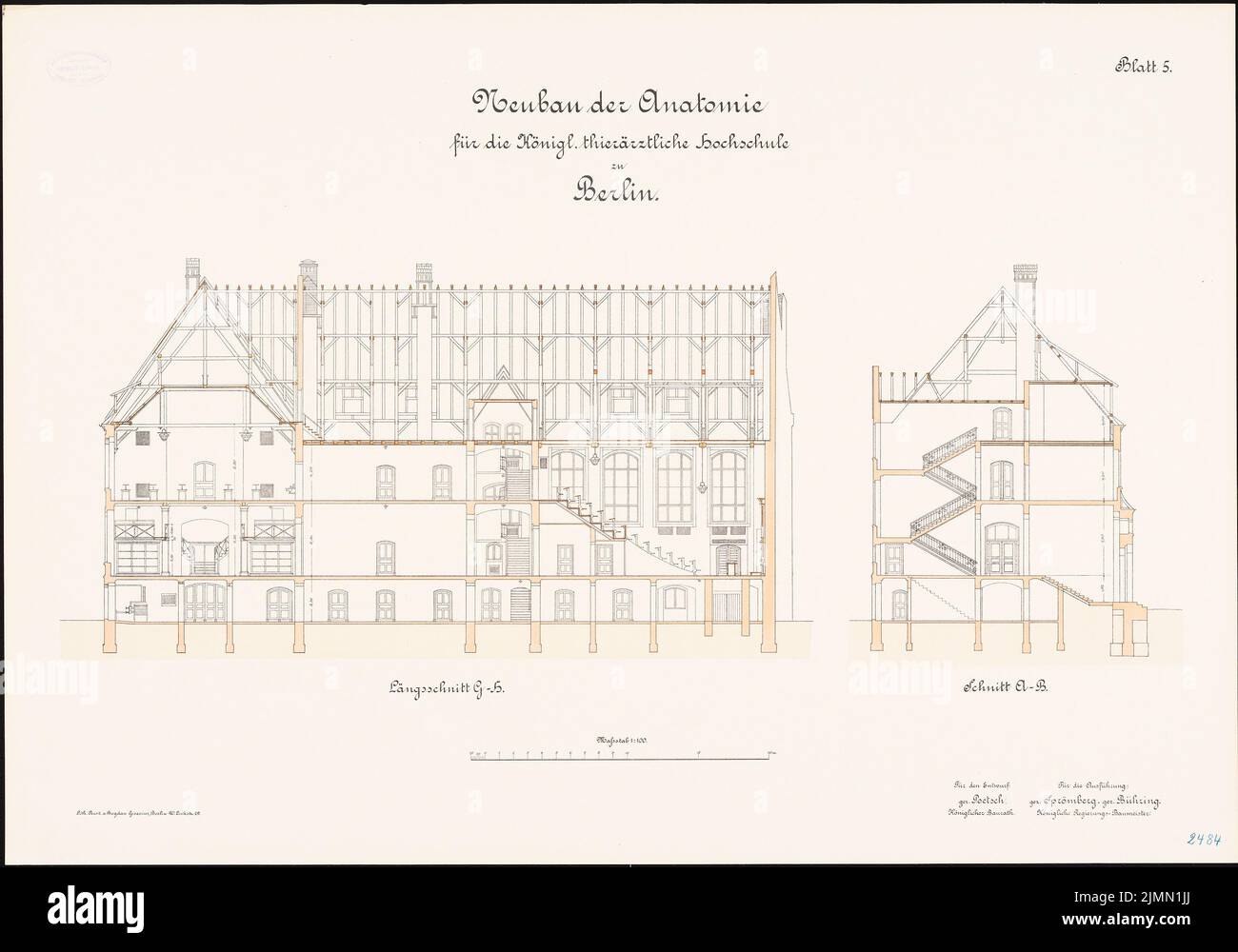 Poetsch Otto (1848-1915), Veterinäruniversität Berlin. Neue Anatomie (ca. 1901): Längsschnitt und Querschnitt 1: 100. Lithographie, 60,6 x 86,5 cm (einschließlich Scankanten) Stockfoto