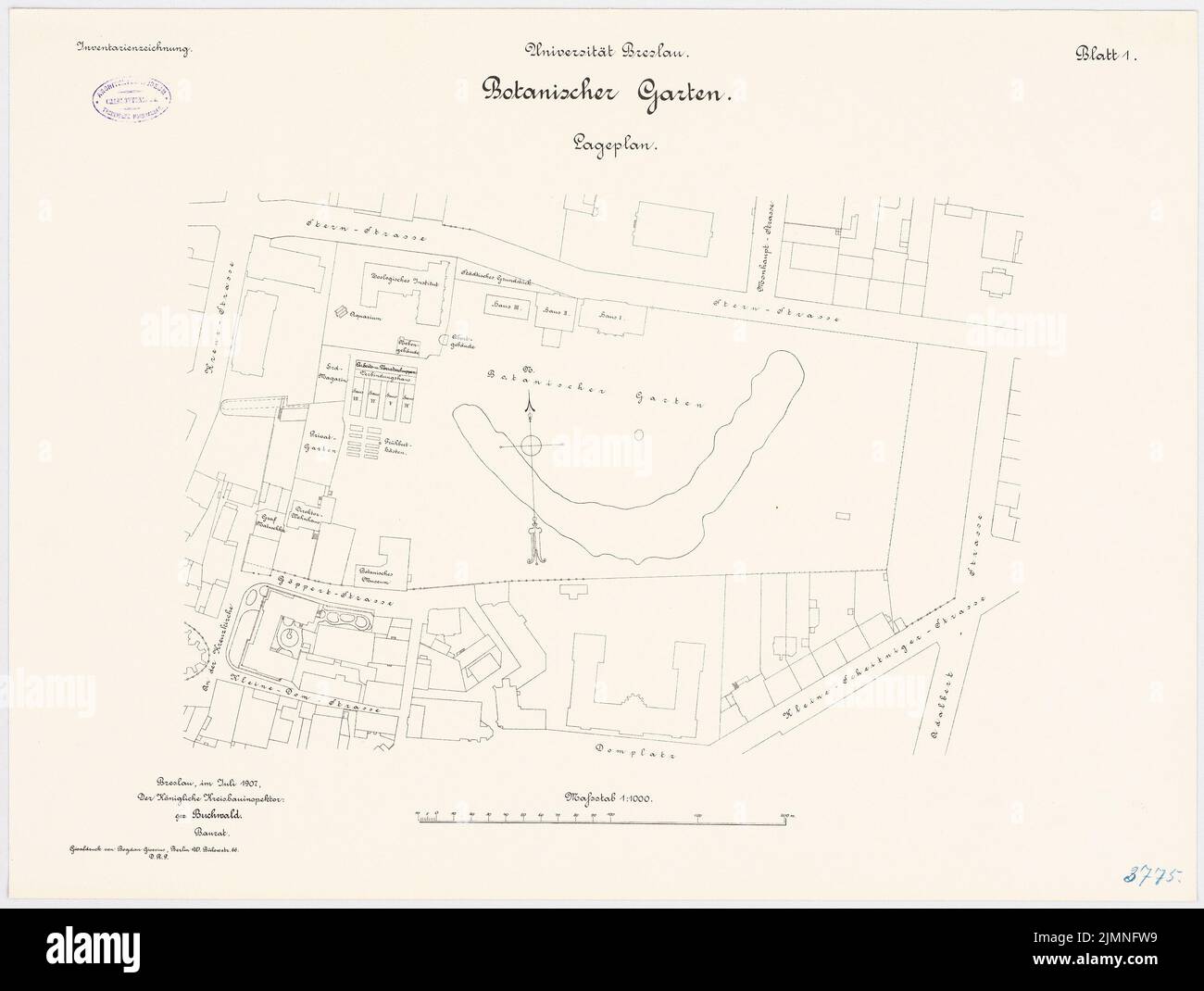 Unbekannter Architekt, Universität, Breslau. Botanischer Garten (ca. 1907): Lageplan 1: 1000. Lithographie, 52 x 68,9 cm (einschließlich Scankanten) Stockfoto