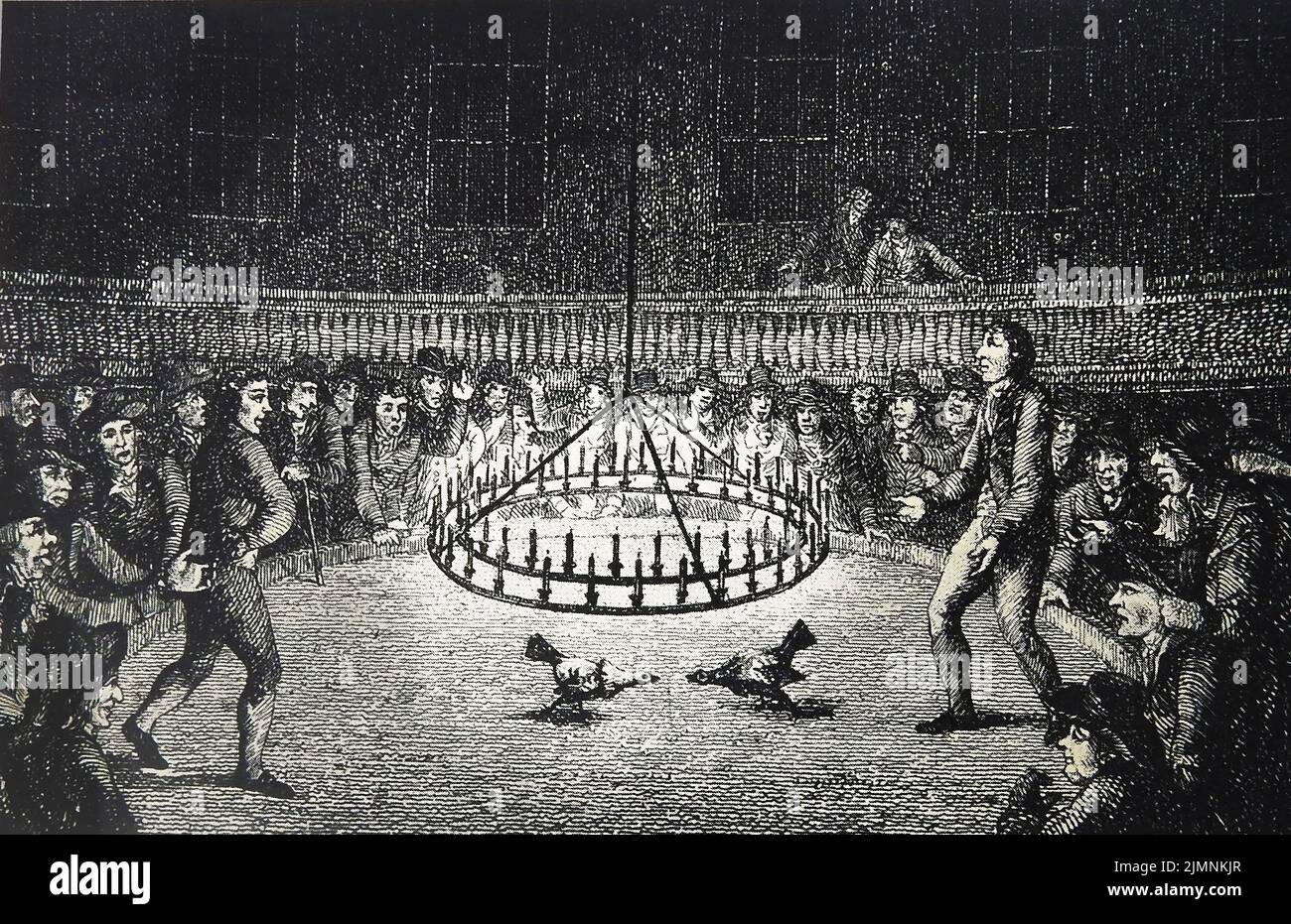 Eine ungewöhnliche Illustration einer britischen, bei Kerzenlicht angezündeten, 18.-Jahrhundert-Hahnenkämpfe. Stockfoto