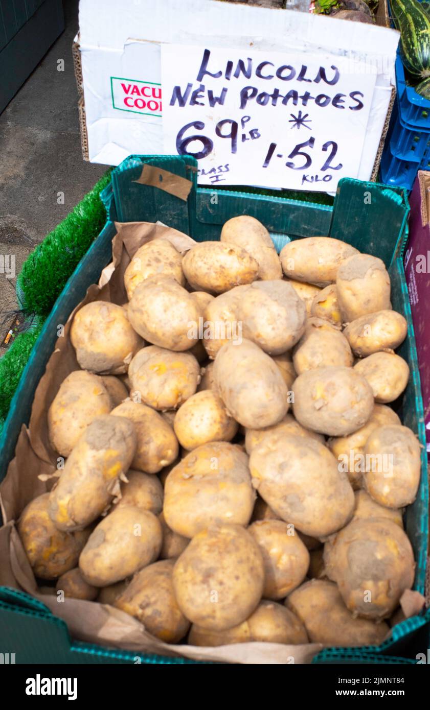 Spät Lincoln neue Kartoffeln in einem Gemüsehändler Laden in North Yorkshire Ende Oktober 69p pro Pfund oder £1,52 pro KG Stockfoto