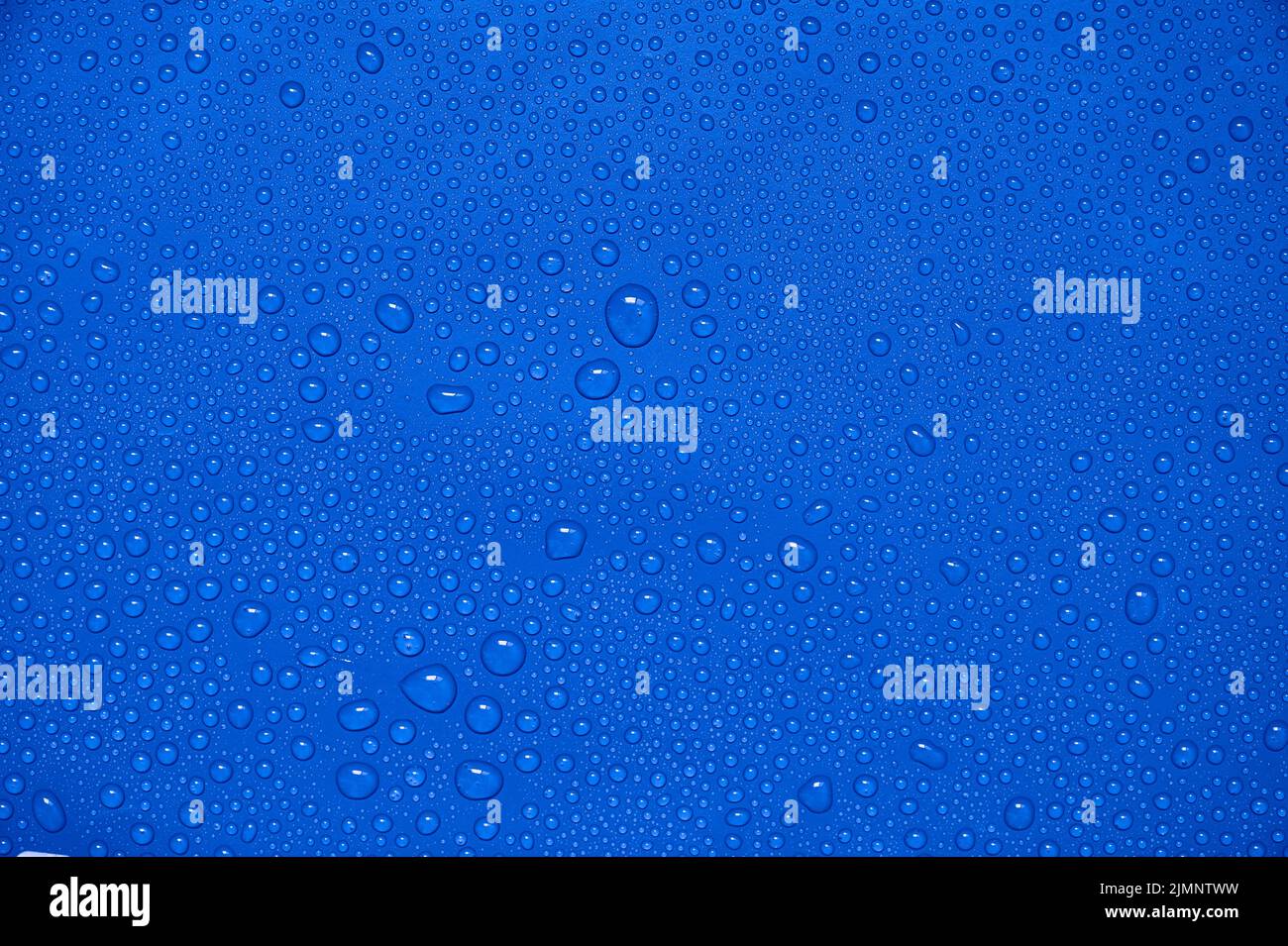 Wassertropfen auf blauem Hintergrund. Stockfoto