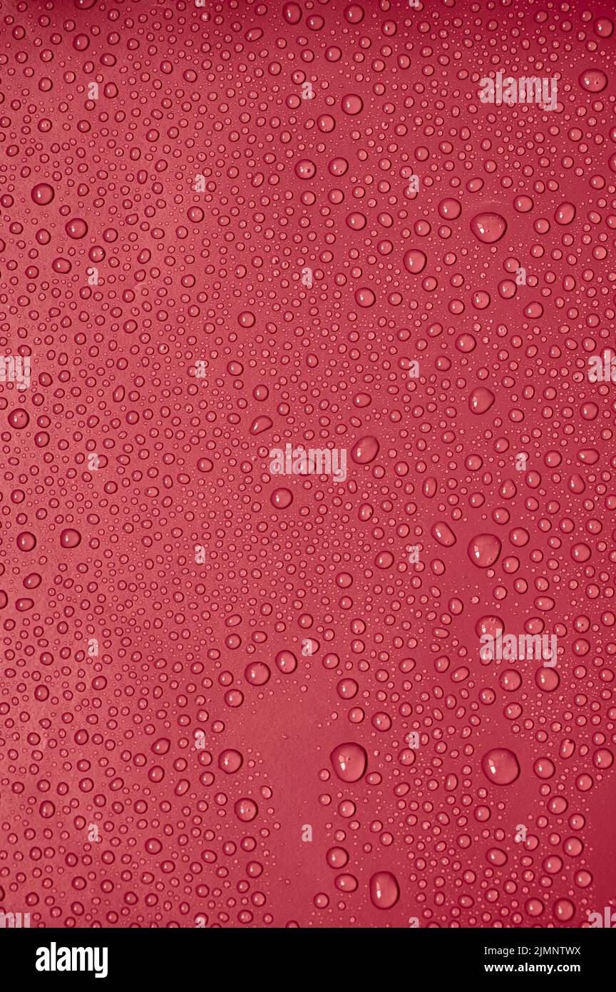 Wassertropfen auf rotem Hintergrund. Stockfoto