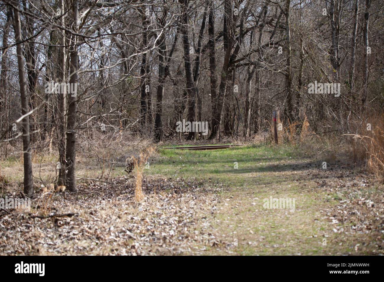 Markierter Wanderweg, der zu den Bahngleisen in einem Wald führt Stockfoto