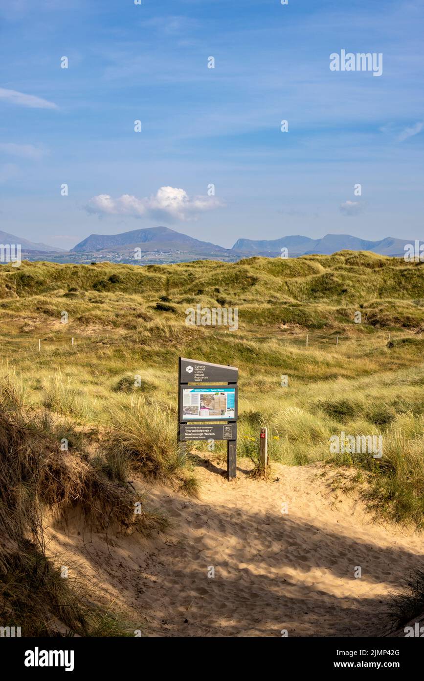 Newborough Warren Sanddünen vom Wales Coast Path mit den Snowdonia Mountains im Hintergrund, Isle of Anglesey, Nordwales Stockfoto