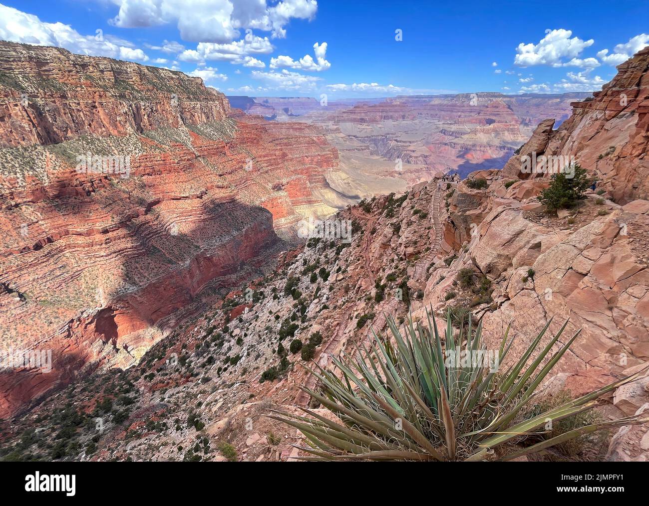 South Kaibab Trail mit einem Kaktus im Vordergrund, Grand Canyon, USA Stockfoto