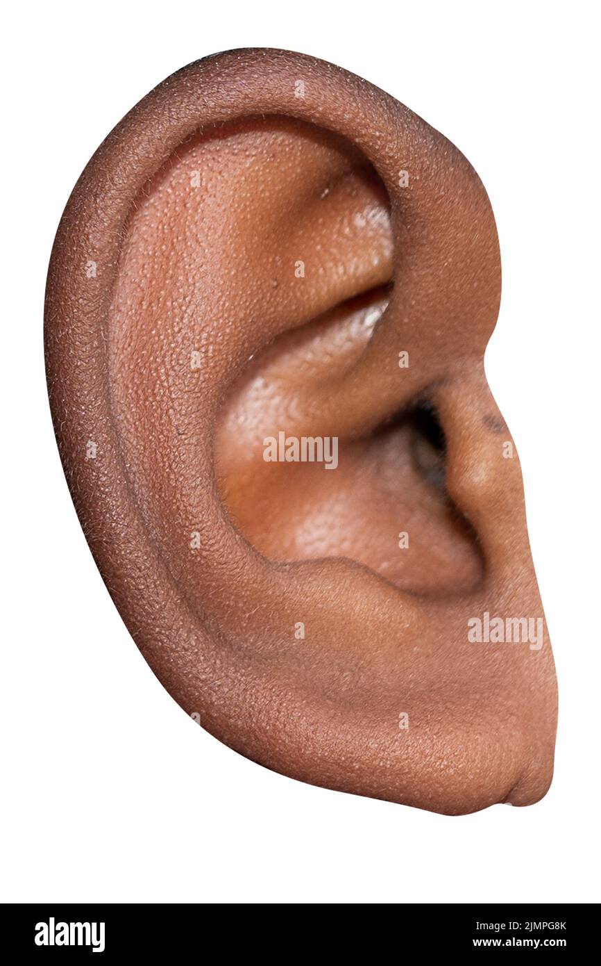 Nahaufnahme des menschlichen Gesichts mit detailgedrehten Ohren Stockfoto